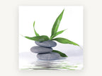 Stacked Stones Bamboo Calm, floral canvas wall art print, front view