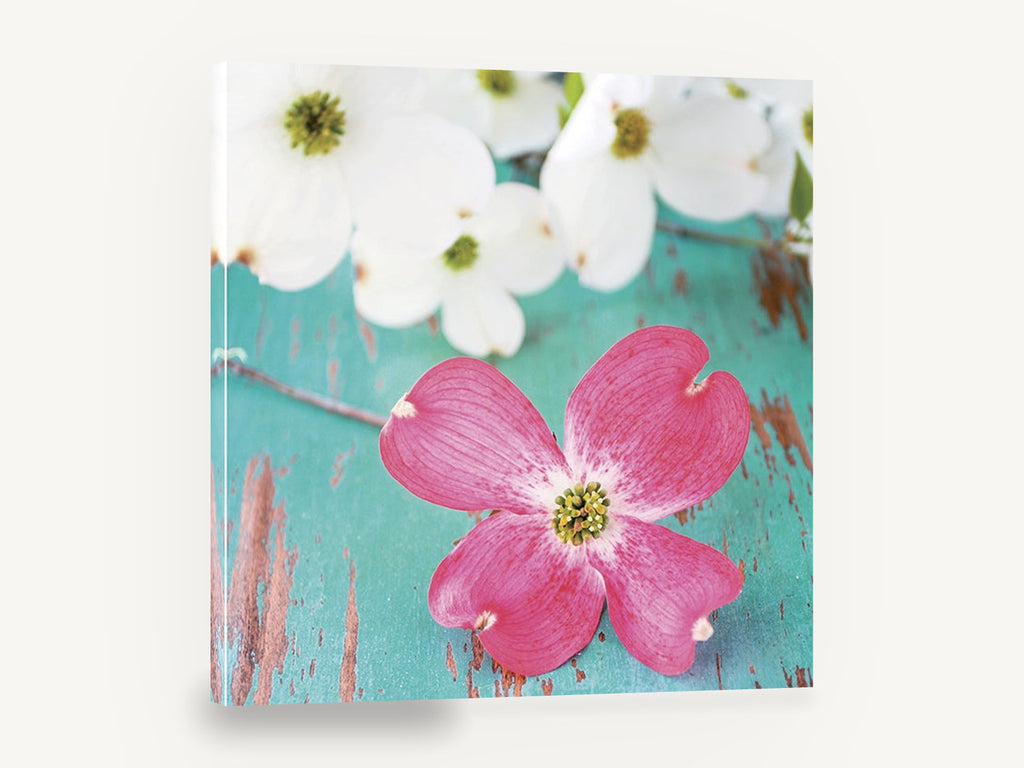 Pink Dogwood on Teal, pink dogwood flower photograph teal, floral canvas wall art print ready to hang