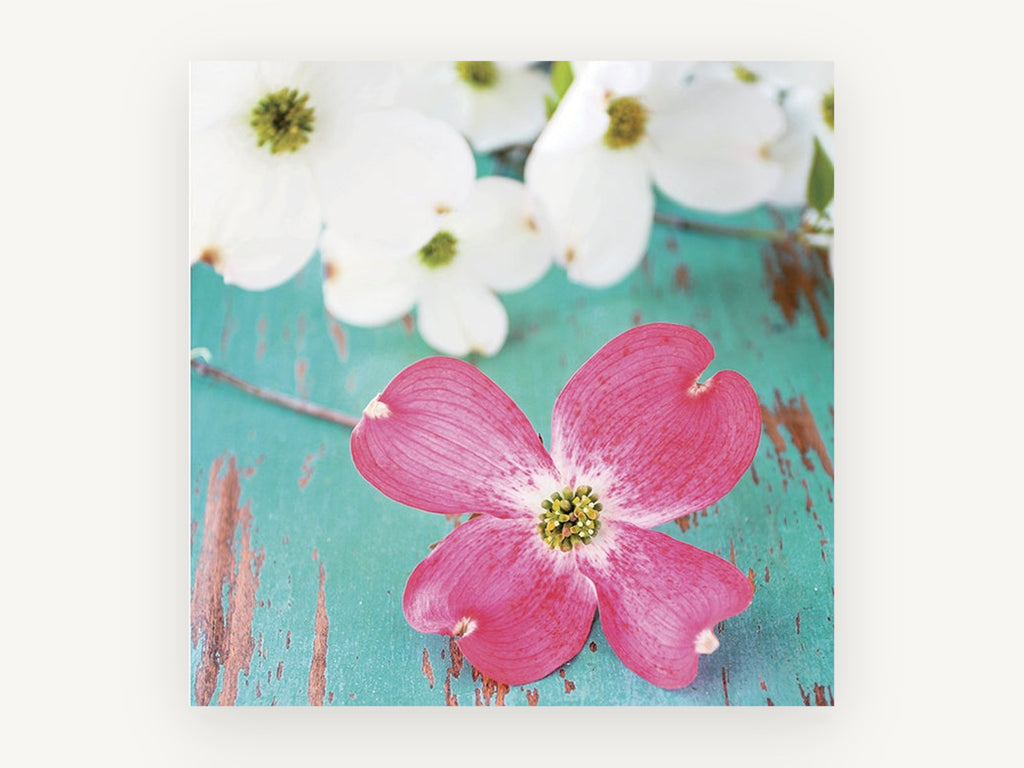 Pink Dogwood on Teal, floral canvas wall art print, front view