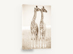 Giraffe Pair in Sepia, young giraffes sepia photograph, animal canvas wall art print ready to hang