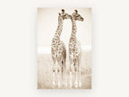 Giraffe Pair in Sepia, young giraffes sepia photograph, animal canvas wall art print, front view