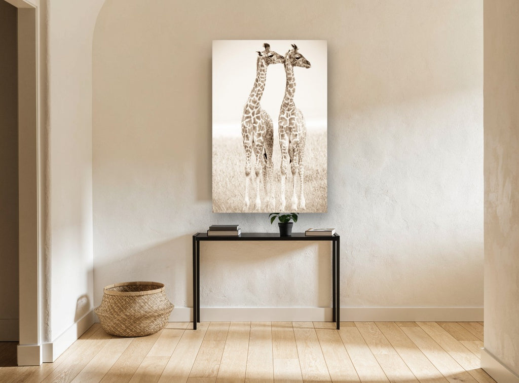 Giraffe Pair in Sepia animal canvas print on the wall of a hallway