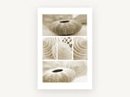 Sepia Shell Collage, coastal canvas wall art print, front view