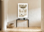 Sepia Shell Collage coastal canvas print on the wall of a hallway