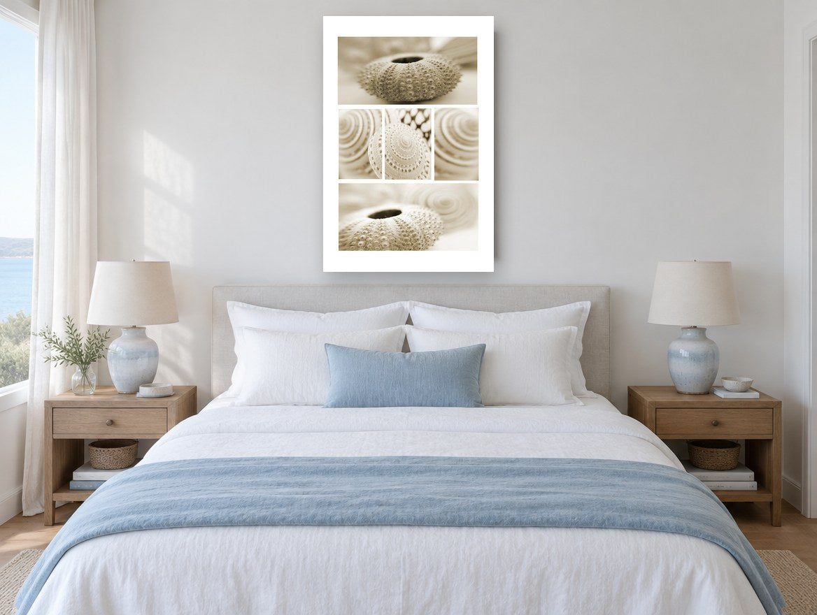 Sepia Shell Collage coastal canvas print on the wall of a coastal bedroom