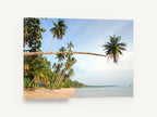 Leaning Palm Bay, leaning palm tropical beach photograph, coastal canvas wall art print ready to hang