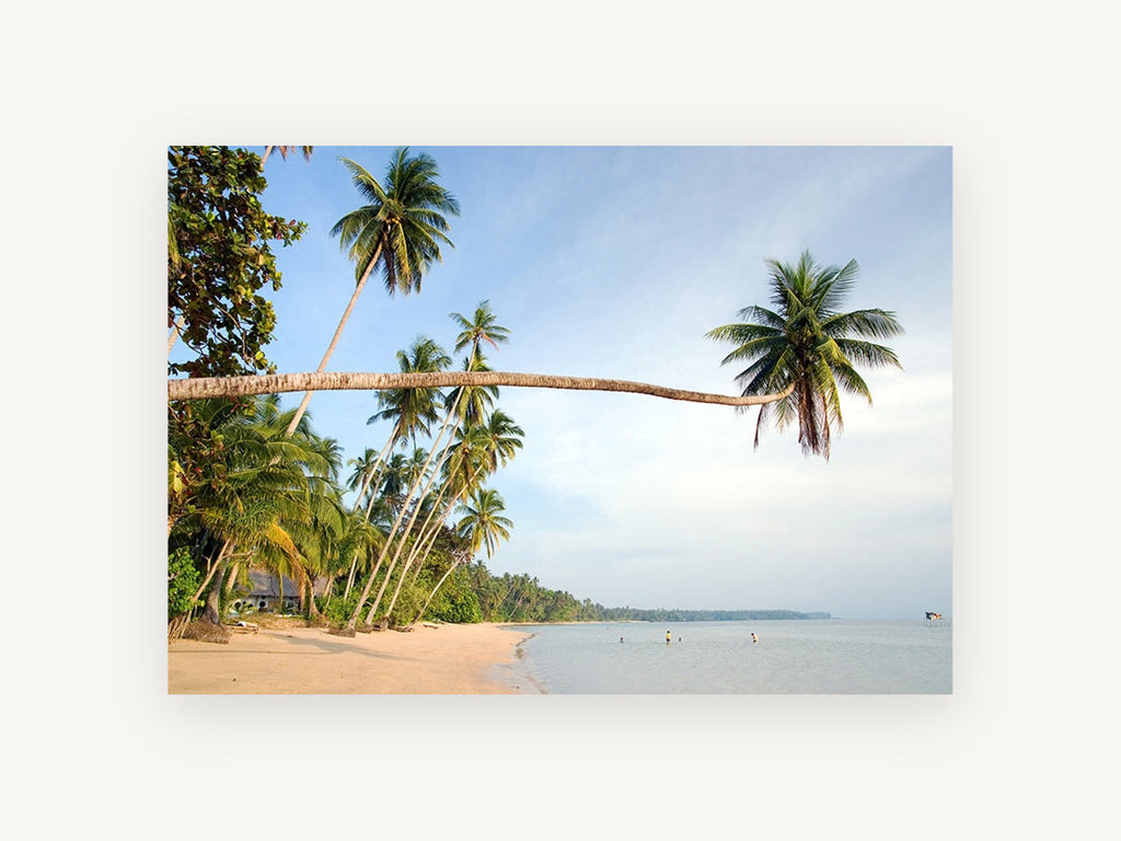 Leaning Palm Bay, coastal canvas wall art print, front view