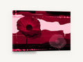Crimson Poppy Collage, red poppy abstract collage art, floral canvas wall art print ready to hang