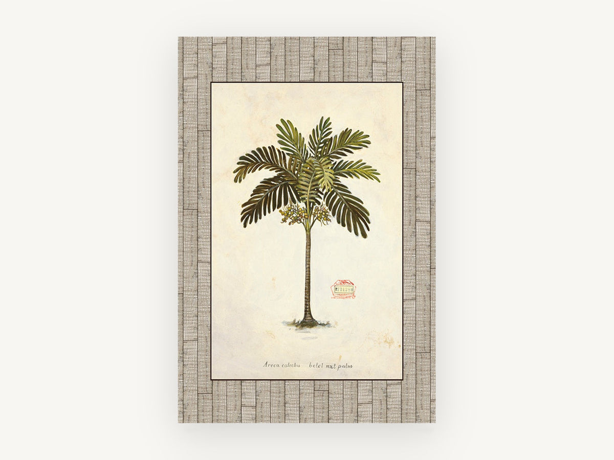 Betel Nut Palm Study, floral canvas wall art print, front view