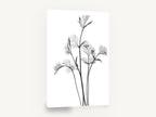 Coriander Leaf Study, coriander leaves black and white botanical, floral canvas wall art print ready to hang