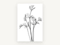 Coriander Leaf Study, floral canvas wall art print, front view