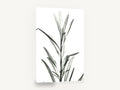 Translucent Leaf Stem, black and white leaf stem x-ray, floral canvas wall art print ready to hang