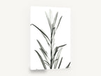 Translucent Leaf Stem, black and white leaf stem x-ray, floral canvas wall art print ready to hang