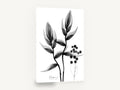 Heliconia X-Ray Study, heliconia x-ray black and white botanical, floral canvas wall art print ready to hang