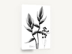 Heliconia X-Ray Study, heliconia x-ray black and white botanical, floral canvas wall art print ready to hang