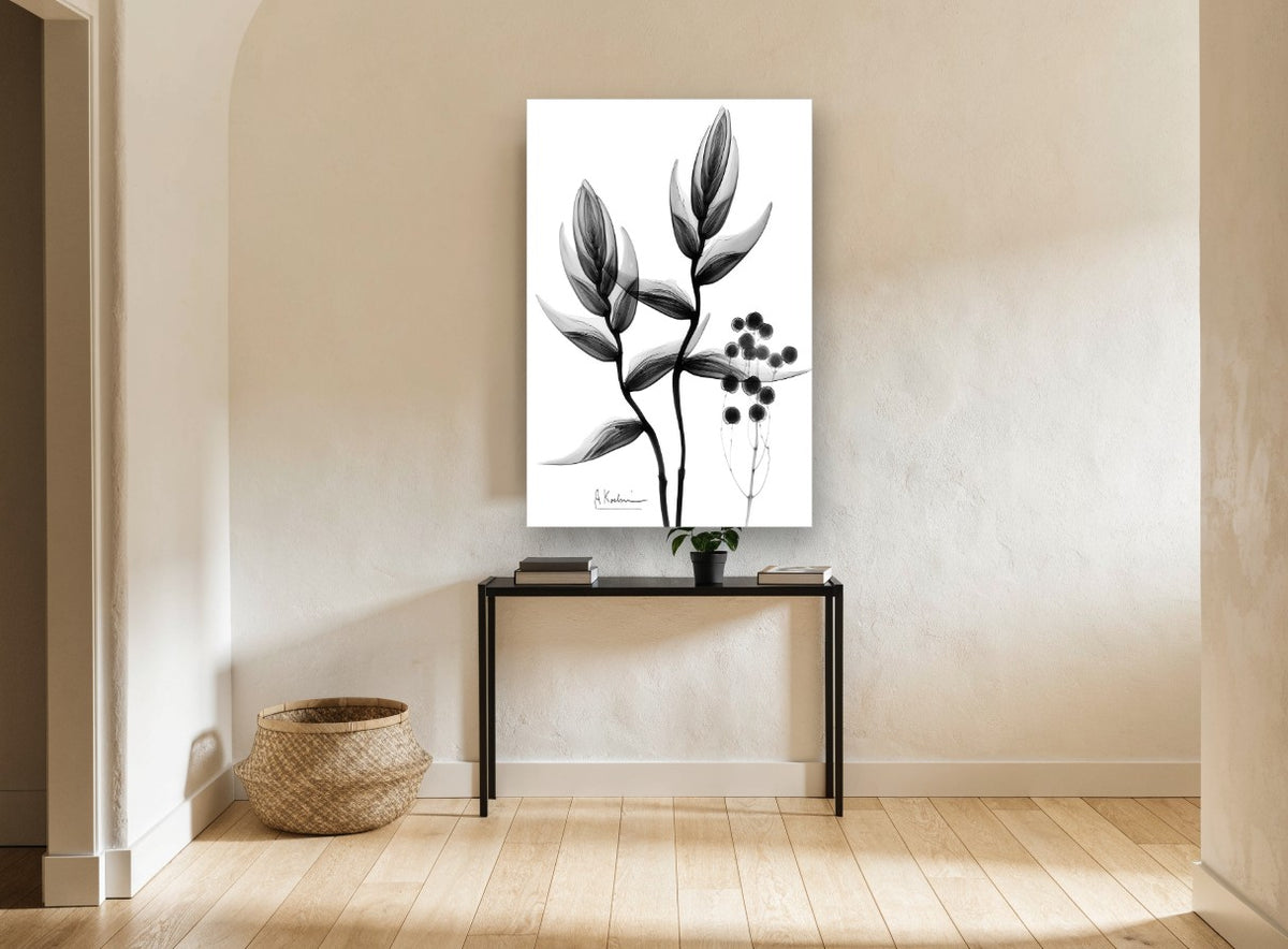 Heliconia X-Ray Study floral canvas print on the wall of a hallway