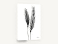 Twin Ears Negative, black and white x-ray plant study, floral canvas wall art print ready to hang