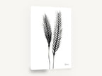 Twin Ears Negative, black and white x-ray plant study, floral canvas wall art print ready to hang