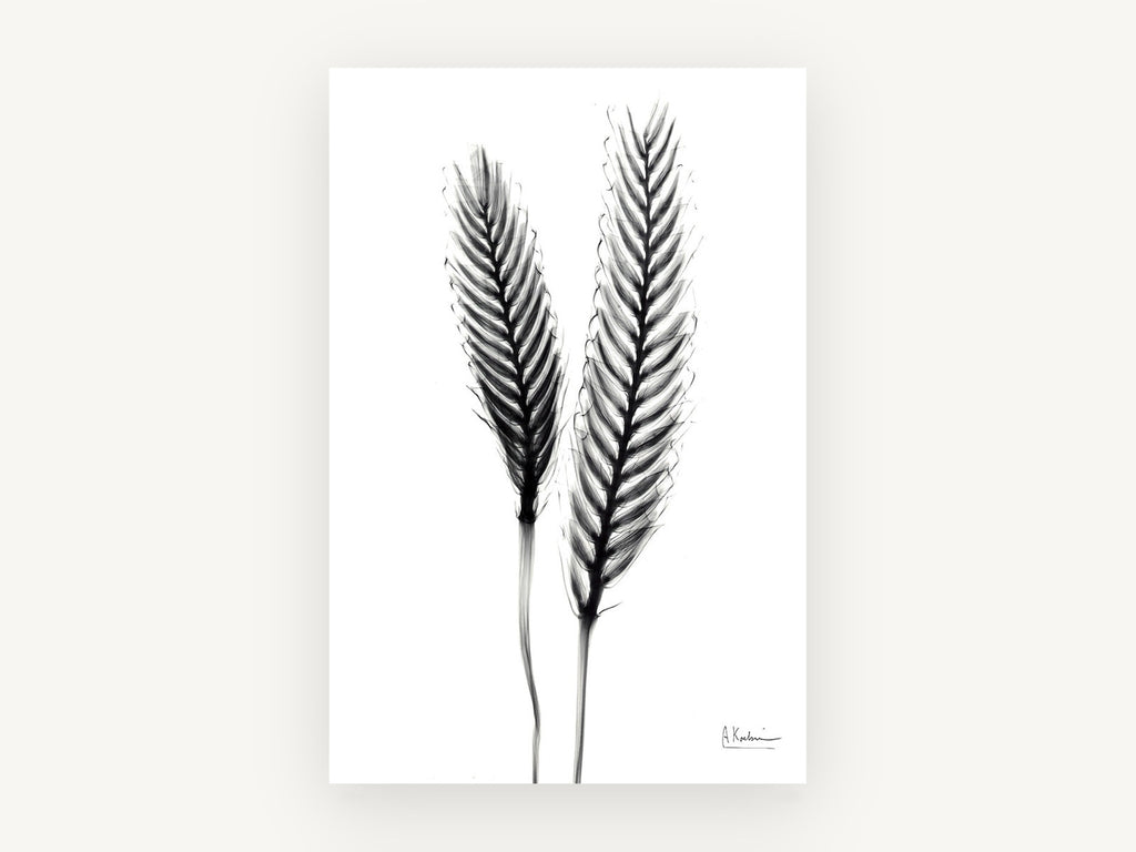 Twin Ears Negative, floral canvas wall art print, front view