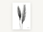 Twin Ears Negative, floral canvas wall art print, front view