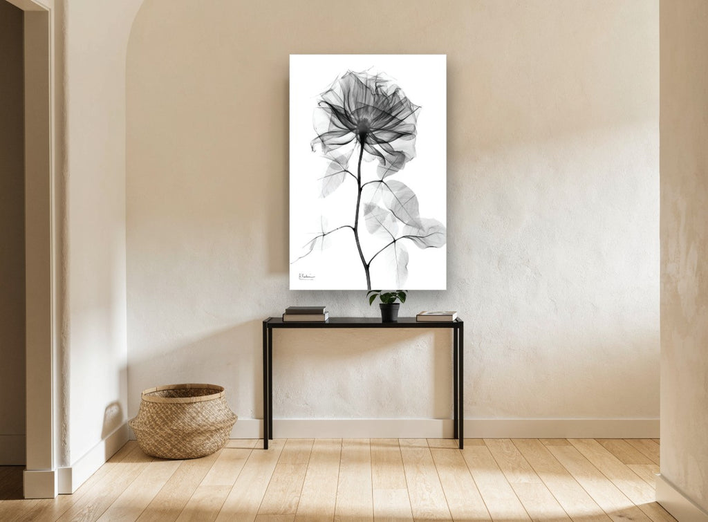 Translucent Rose Study floral canvas print on the wall of a hallway