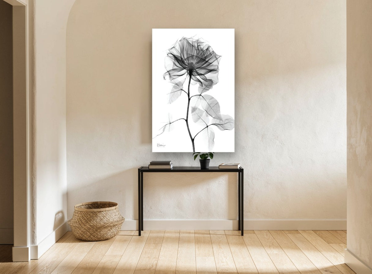 Translucent Rose Study floral canvas print on the wall of a hallway
