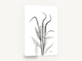 Arching Spires, black and white x-ray flower spikes, floral canvas wall art print ready to hang