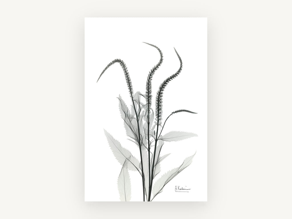 Arching Spires, floral canvas wall art print, front view