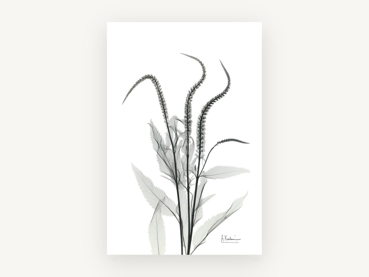 Arching Spires, floral canvas wall art print, front view