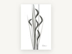 Grey Oat Grass Study, floral canvas wall art print, front view