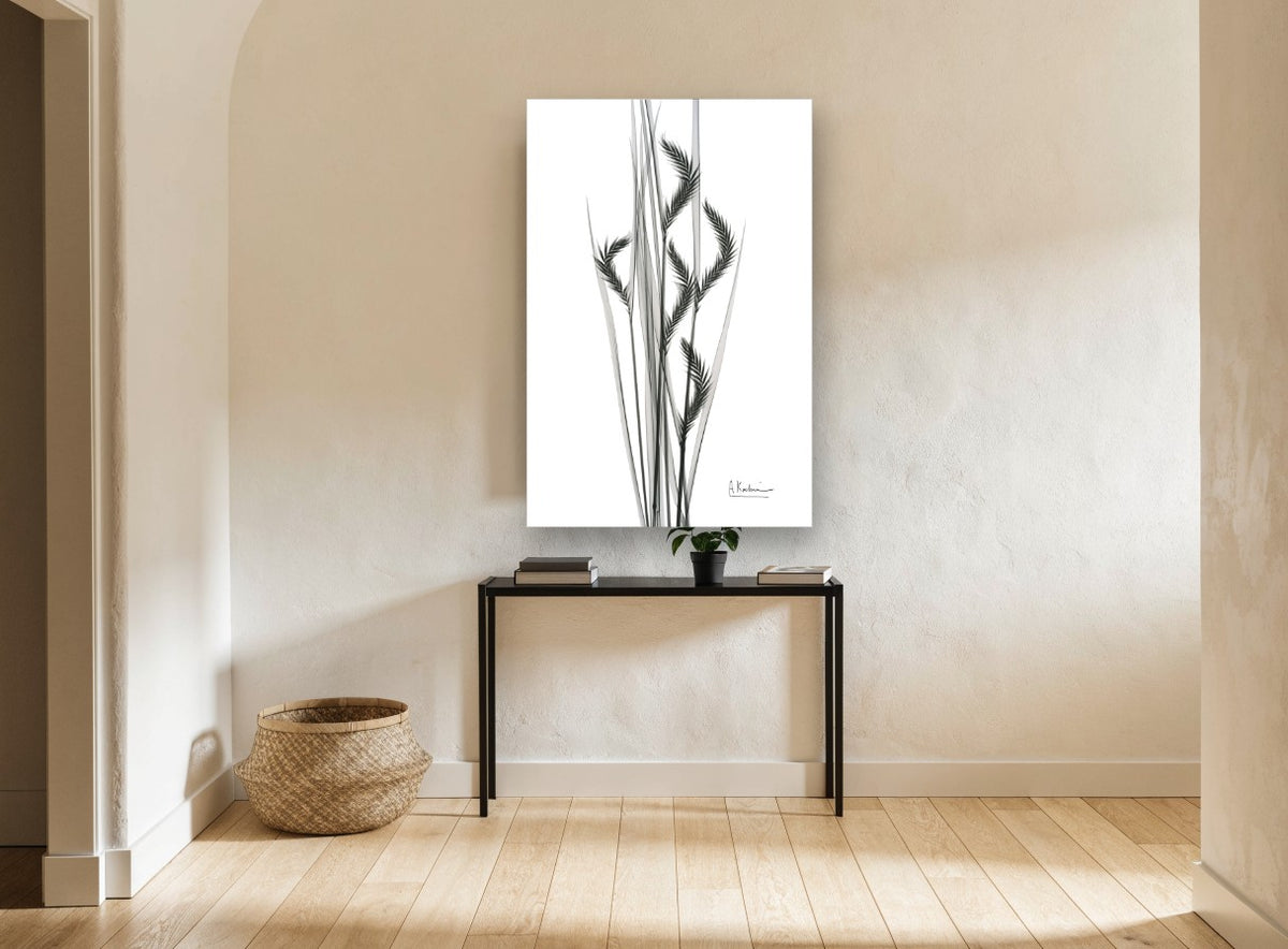 Grey Oat Grass Study floral canvas print on the wall of a hallway
