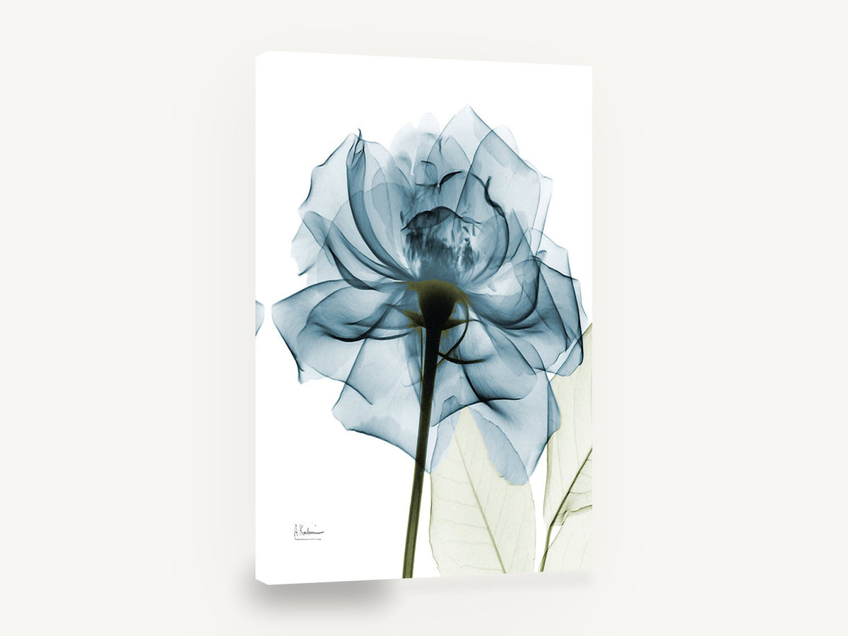 Teal Veil Rose, teal rose x-ray style floral, floral canvas wall art print ready to hang