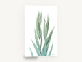 Translucent Willow Stems, green leaf stems x-ray botanical, floral canvas wall art print ready to hang