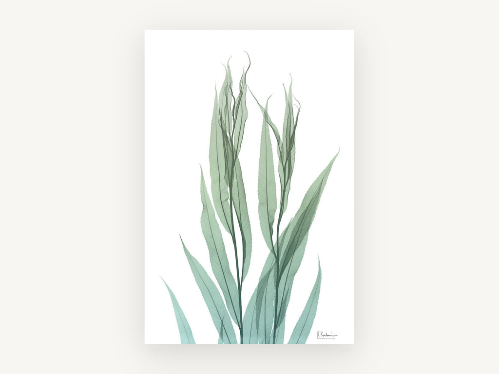 Translucent Willow Stems, floral canvas wall art print, front view