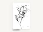 Translucent Oleander Stems, oleander branch x-ray black and white, floral canvas wall art print ready to hang