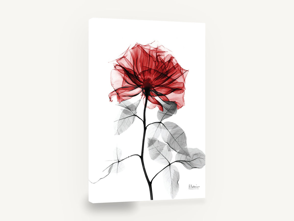 Crimson Rose Glass, red rose x-ray style floral, floral canvas wall art print ready to hang