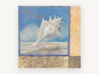 Lace Murex Shell, coastal canvas wall art print, front view