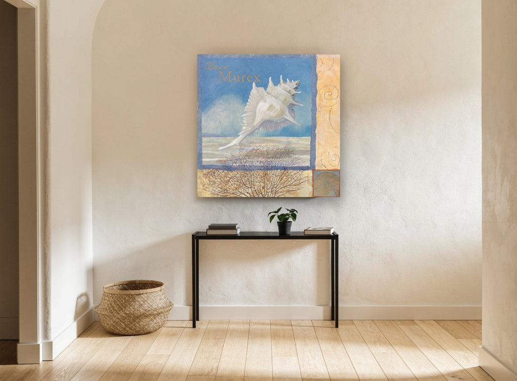 Lace Murex Shell coastal canvas print on the wall of a hallway