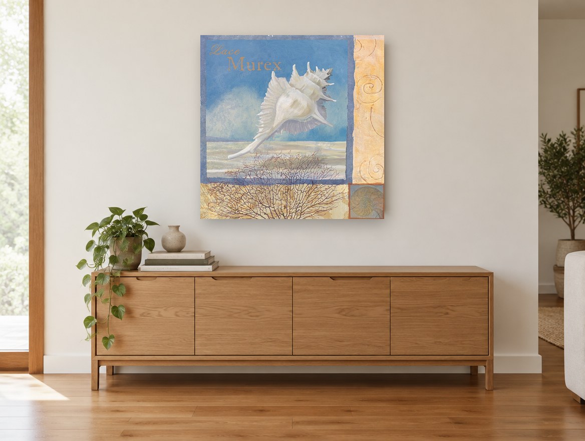 Lace Murex Shell coastal canvas print on the wall of a living room above a sideboard