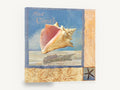Pink Conch Collage, pink conch shell coastal illustration, coastal canvas wall art print ready to hang