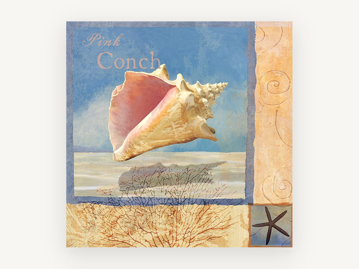 Pink Conch Collage, coastal canvas wall art print, front view