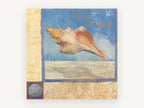 Horse Conch Shoreline, coastal canvas wall art print, front view