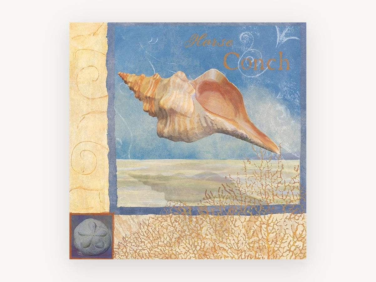 Horse Conch Shoreline, coastal canvas wall art print, front view