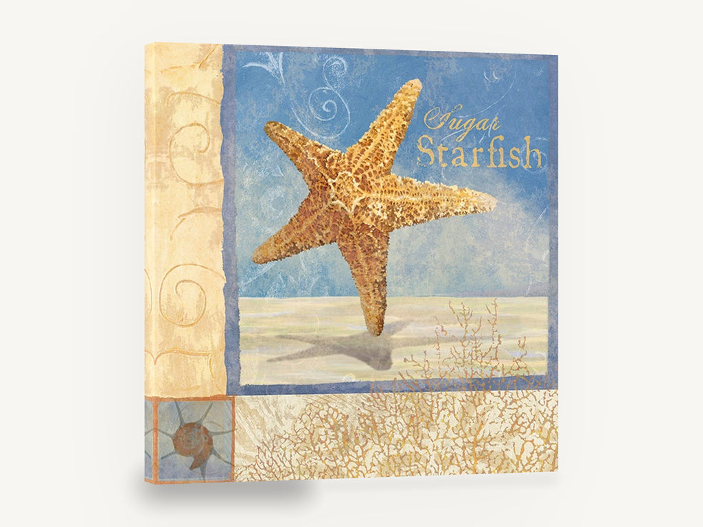 Sugar Starfish Panel, sugar starfish coastal illustration, coastal canvas wall art print ready to hang
