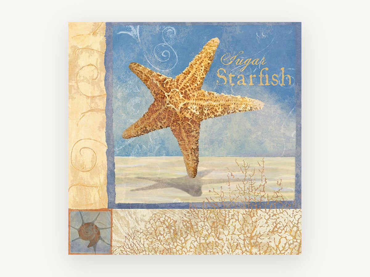 Sugar Starfish Panel, coastal canvas wall art print, front view