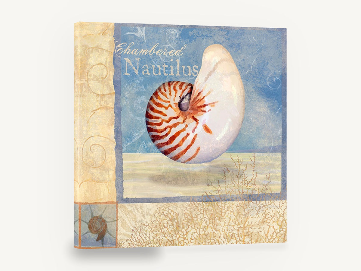 Floating Chambered Nautilus, nautilus shell coastal illustration, coastal canvas wall art print ready to hang