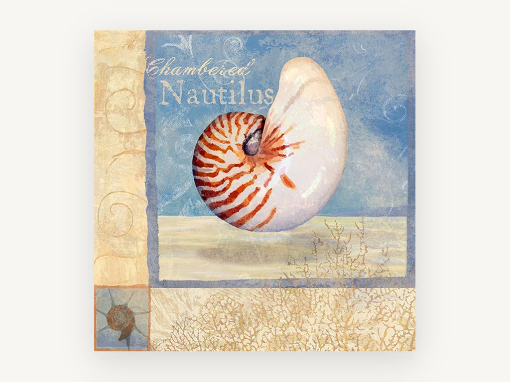 Floating Chambered Nautilus, coastal canvas wall art print, front view