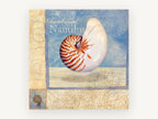 Floating Chambered Nautilus, coastal canvas wall art print, front view