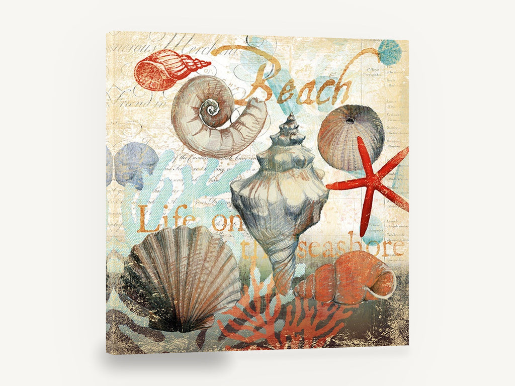 Seashore Shell Collage, vintage seashell collage beach illustration, coastal canvas wall art print ready to hang