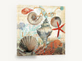Seashore Shell Collage, vintage seashell collage beach illustration, coastal canvas wall art print ready to hang